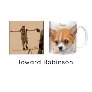Howard-Robinson.jpg