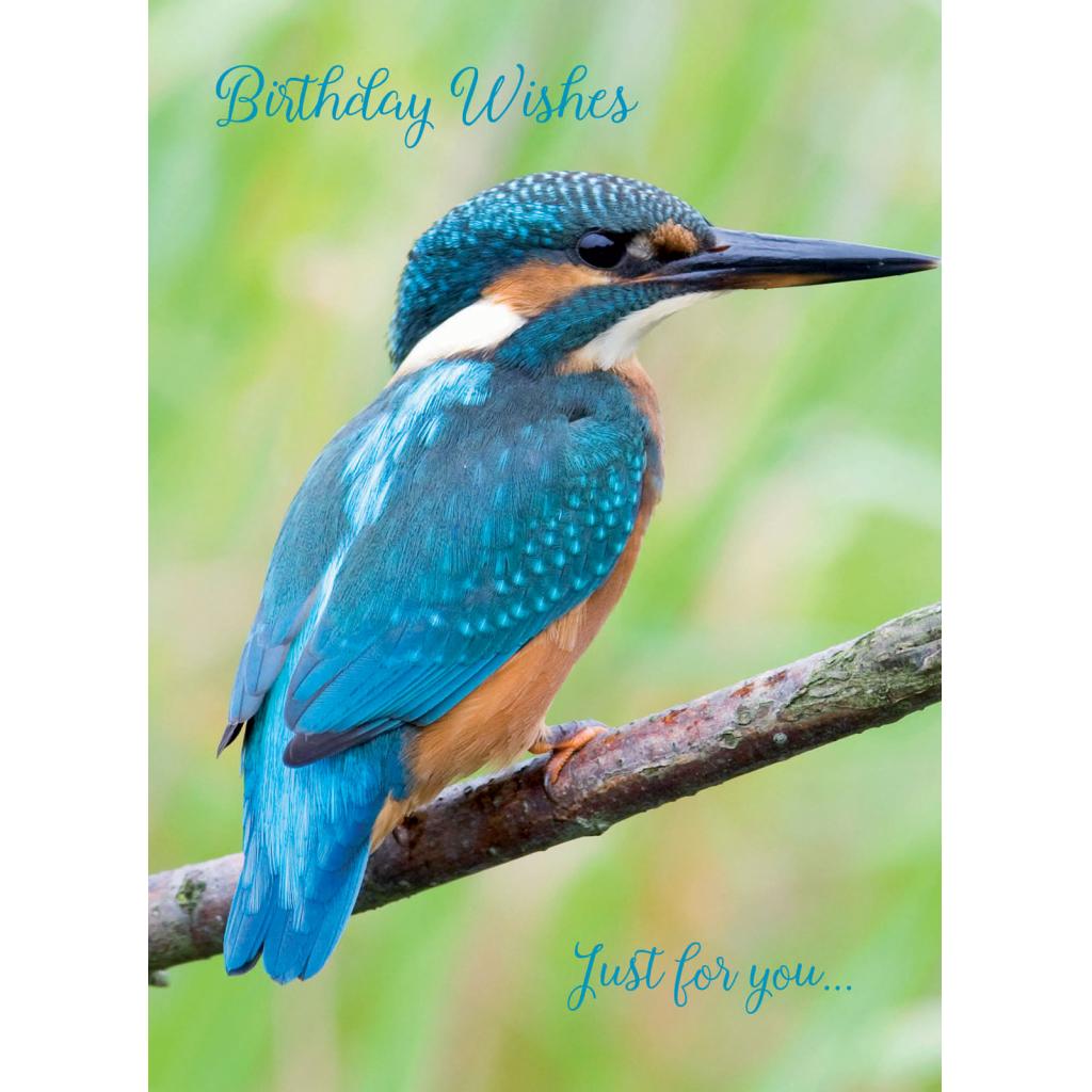 animal-birthday-card-kingfisher