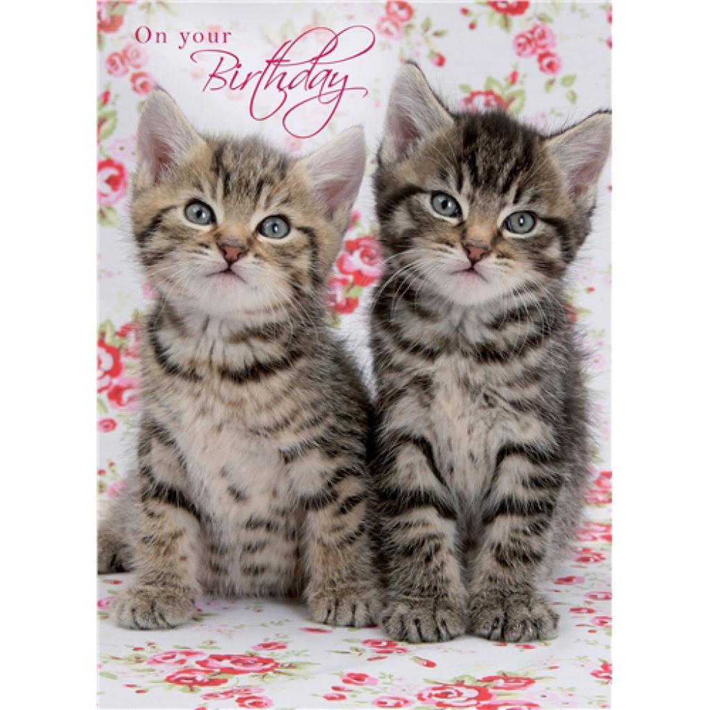 Animal Birthday Card - Tabby Kitten On Roses