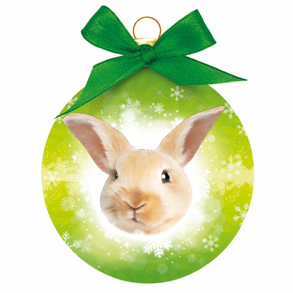 Rabbit Themed Gifts | Animal Gift Club