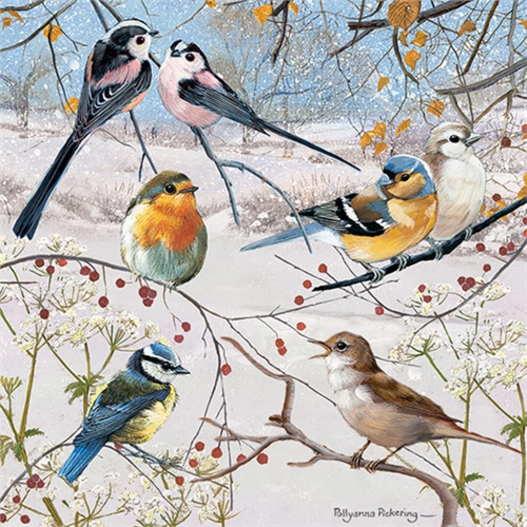 Charity Christmas Card Pack Christmas Birds