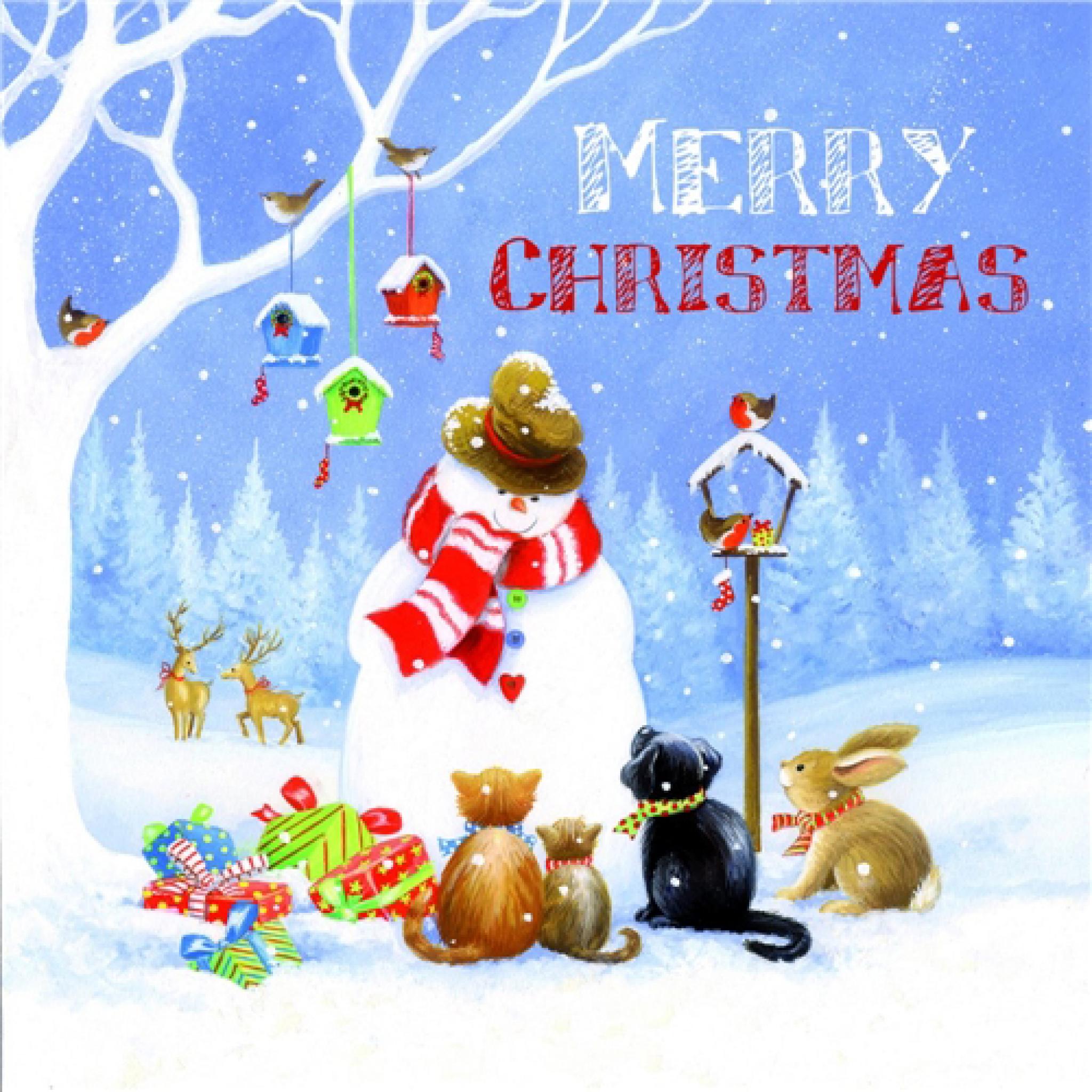 Charity Christmas Card Pack - Visiting The Snowman