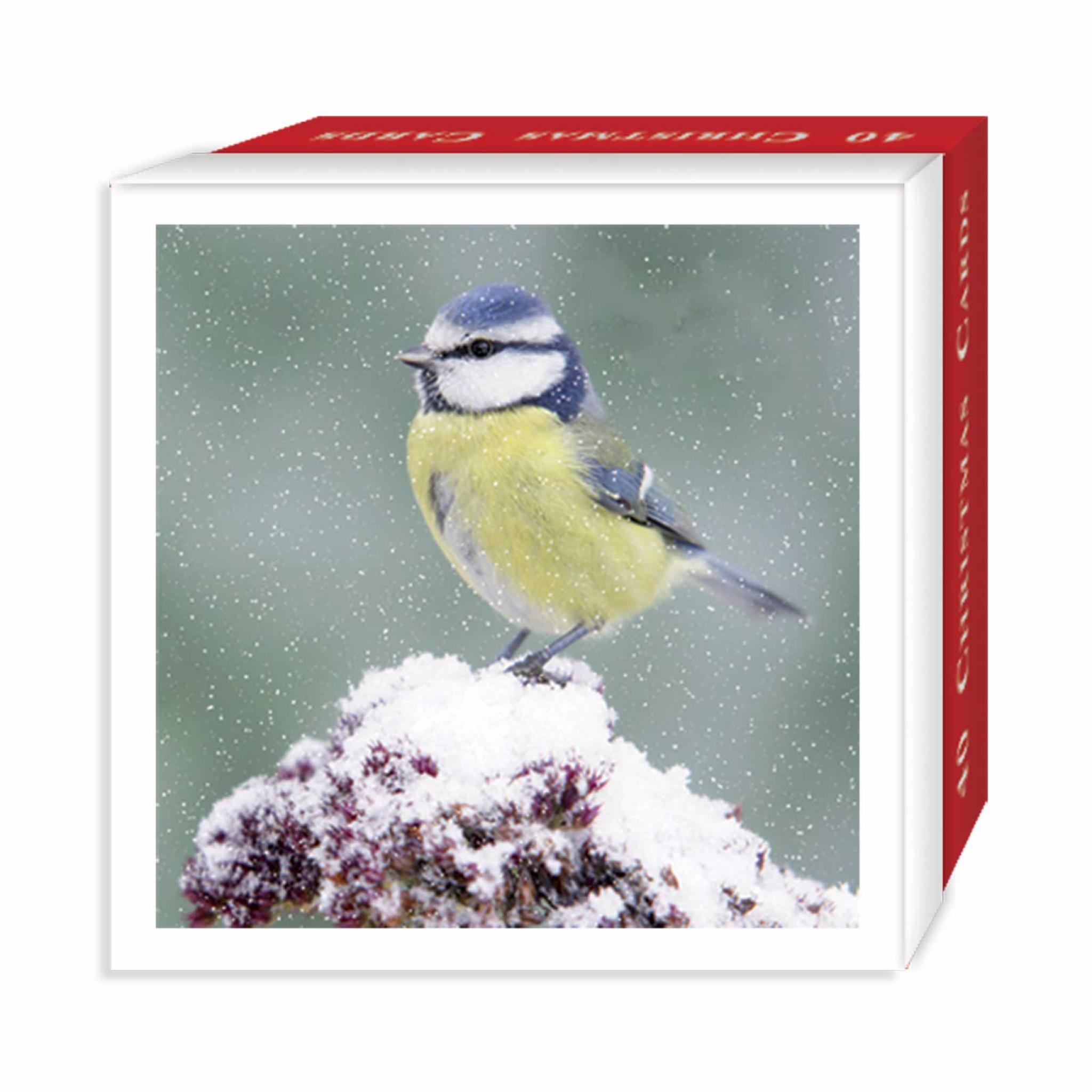 Assorted Christmas Cards Mixed Birds