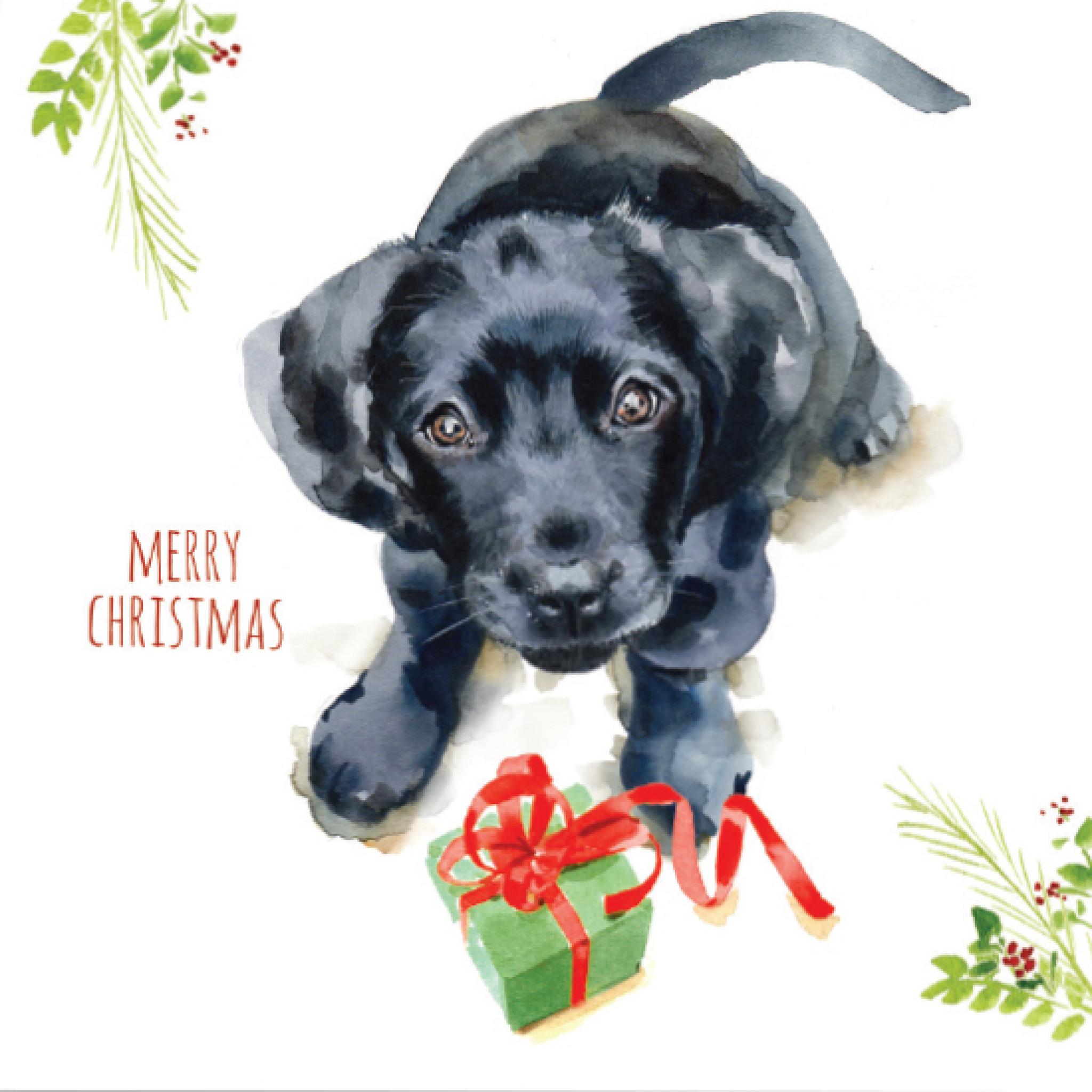 Charity Christmas Card Pack Puppy Dog Wishes