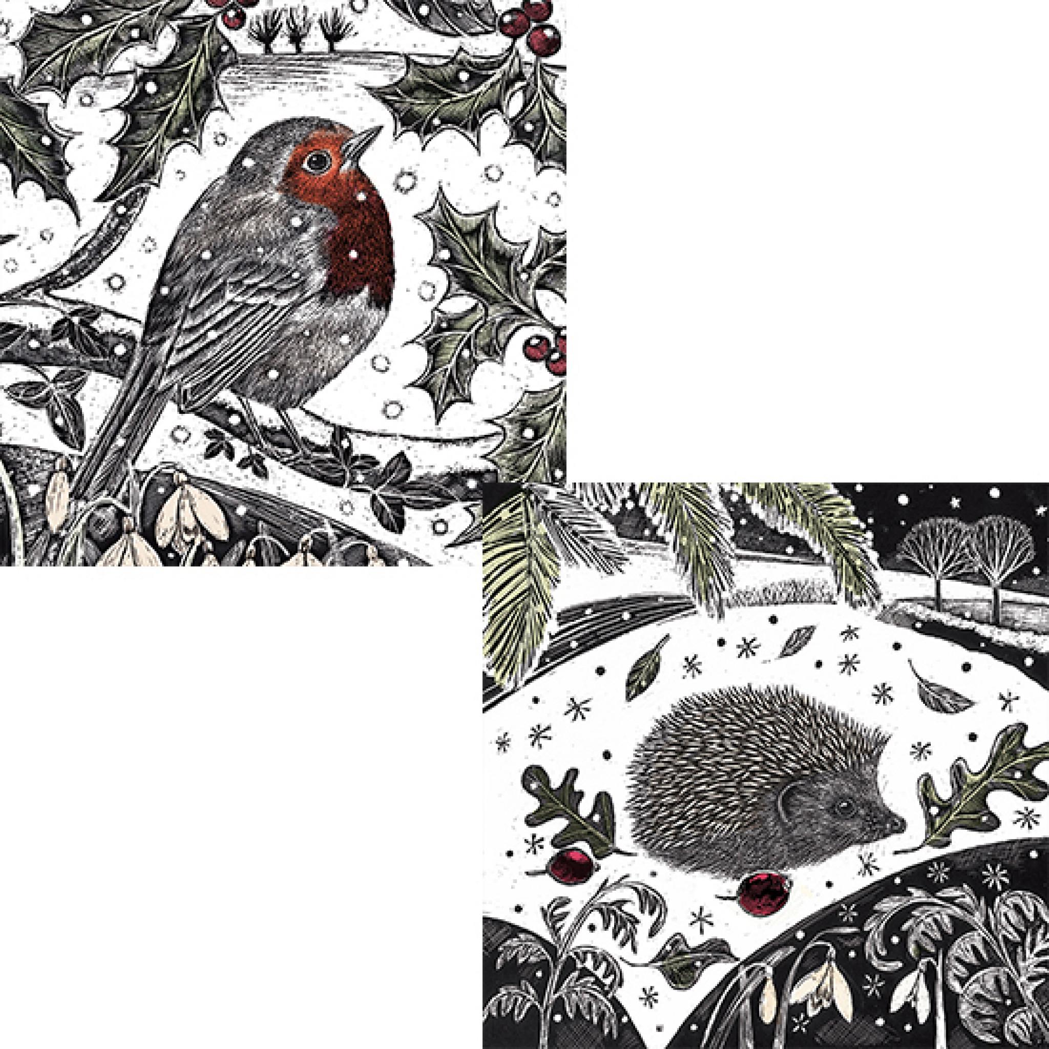 RSPB Luxury Christmas Card Pack Enchanted Wildlife