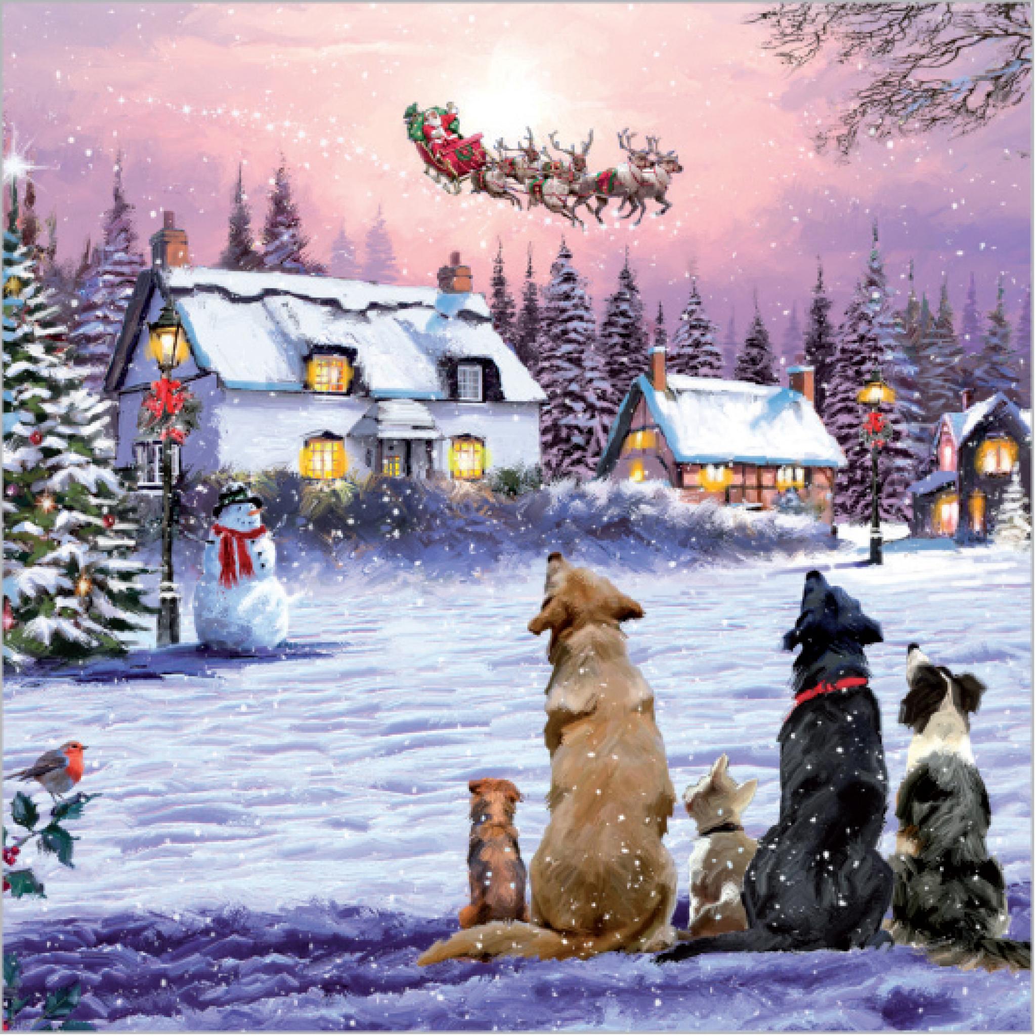 Charity Christmas Card Pack - Santa's Sleigh