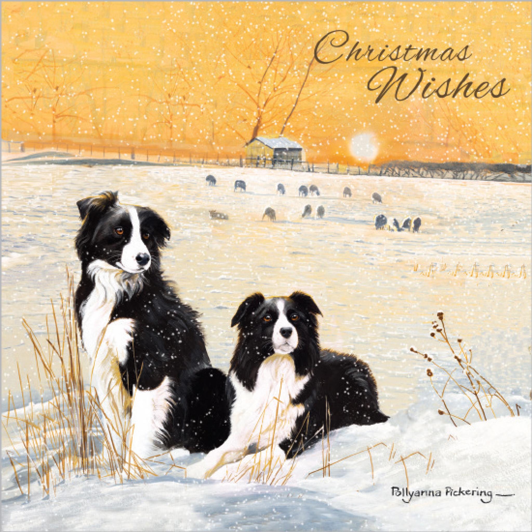 Charity Christmas Card Pack Winter Collies