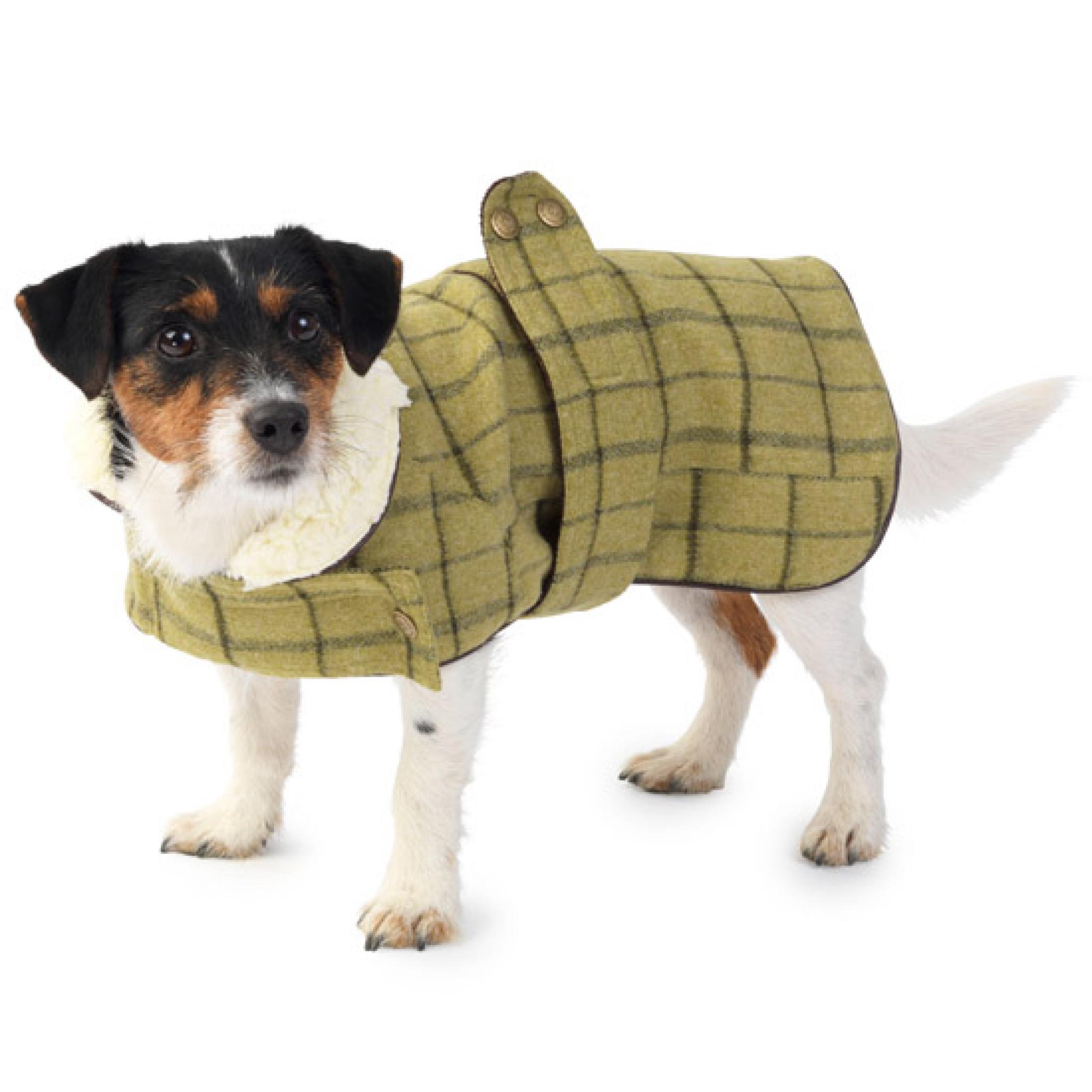 tweed dog coat