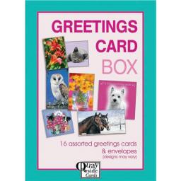 Bumper Box Card Assortment - Assorted Designs