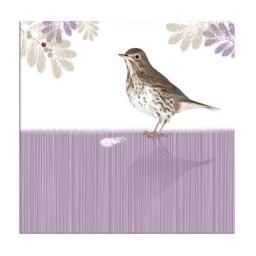 RSPB Nature Trail Card - Song Thrush