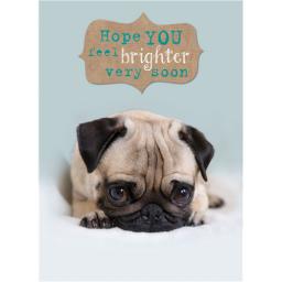 Get Well Soon Card - Cute Pug