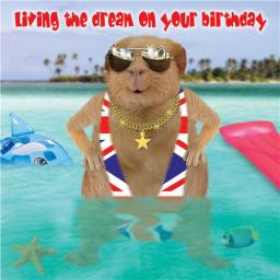 Crazy Crew Card - Living The Dream (Birthday)