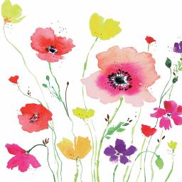 Quayside Gallery Card Collection - Watercolour Flowers