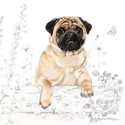 Countryside Collection Card - Pug