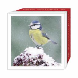 Assorted Christmas Cards - Mixed Birds