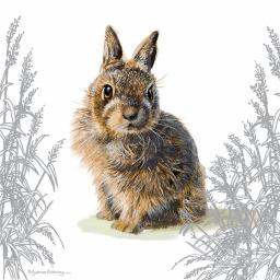 Pollyanna Pickering Countryside Collection Card - Baby Wild Rabbit