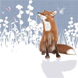 RSPB Nature Trail Card - Fox