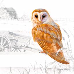 Pollyanna Pickering Countryside Collection Card - Owl