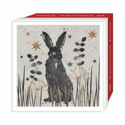 Assorted Christmas Cards - Winter Whiskers