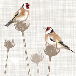 RSPB Nature Trail Card - Goldfinches