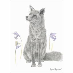 RSPB Card - In the Flowers - Bluebell Fox