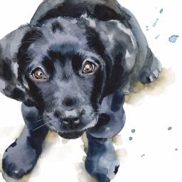 Puppy Dog Eyes Card Collection - Black Labrador Puppy Barney