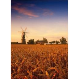 Perfectly Picturesque Card - Sibsey Trader Windmill (Lincolnshire)