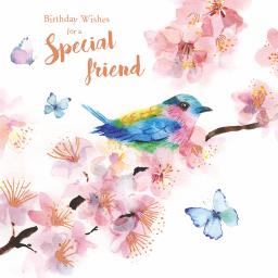 Birthday Treats Card Collection - Birds & Blossom
