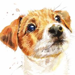 Puppy Dog Eyes Card Collection - Jack Russell Biscuit