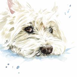 Puppy Dog Eyes Card Collection - West Highland White Terrier Hamish