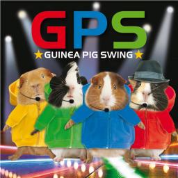 Crazy Crew Card - Guinea Pig Swing (Blank)