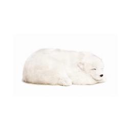Precious Petzzz - Polar Bear