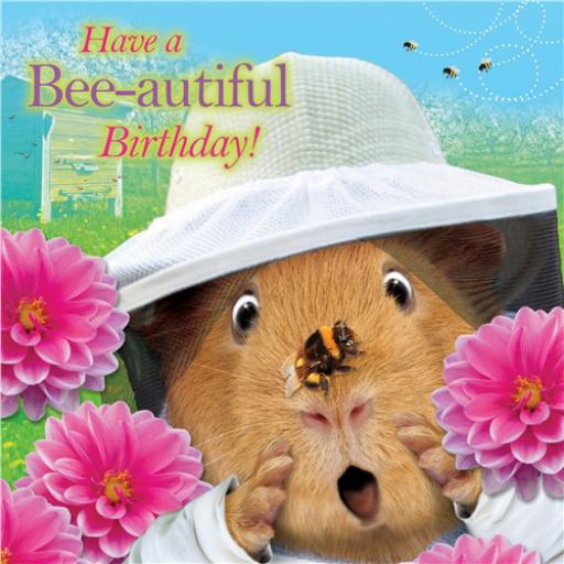 Crazy Crew Card - Bee-Autiful Birthday (Birthday)