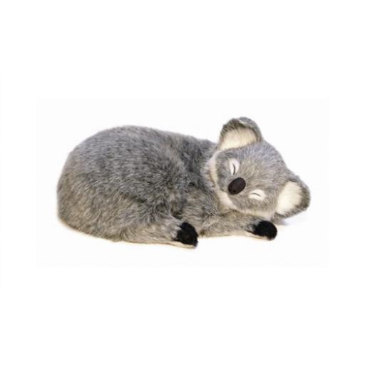 Precious Petzzz - Koala