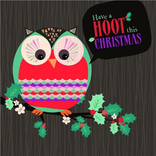 Charity Christmas Card Pack - Holly & The Owl