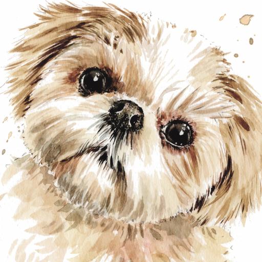 Puppy Dog Eyes Card Collection - Shih Tzu Smudge