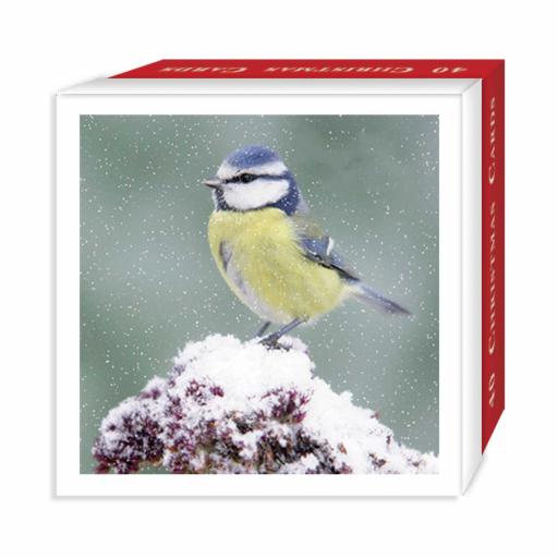 Assorted Christmas Cards - Mixed Birds
