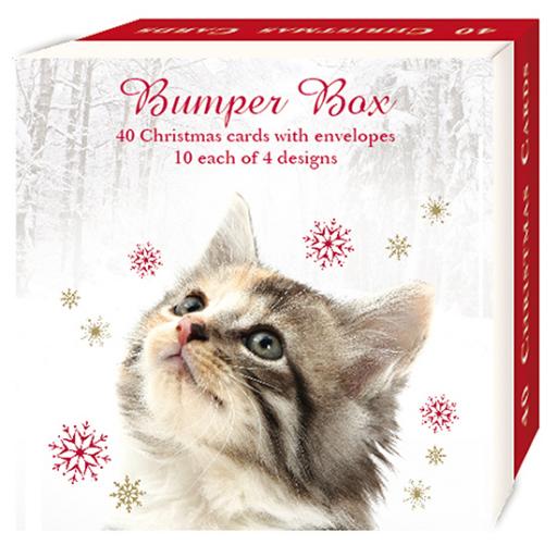 Assorted Christmas Cards - Festive Felines