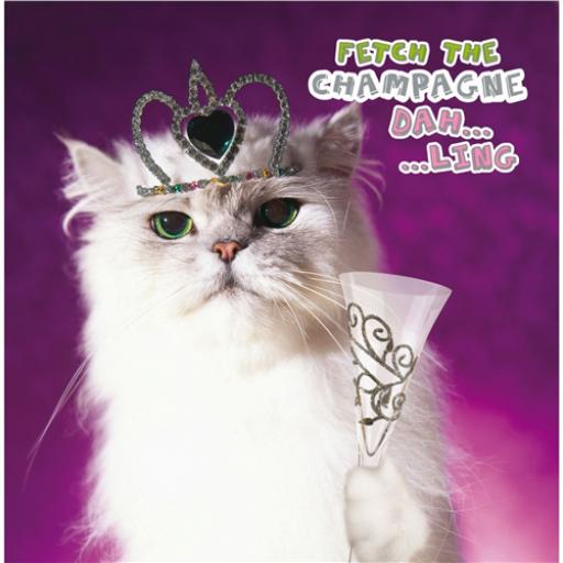 Pet Pawtrait Card - Champagne Kitty (Birthday Card)