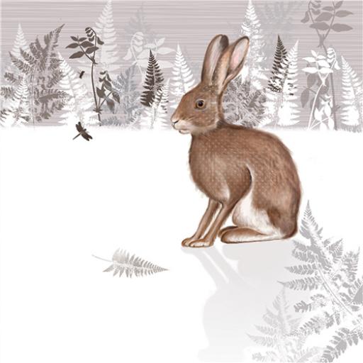 RSPB Nature Trail Card - Hare