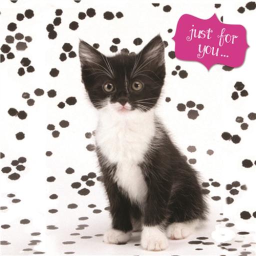 Pet Pawtrait Card - Kitty Just For You (Birthday Card)