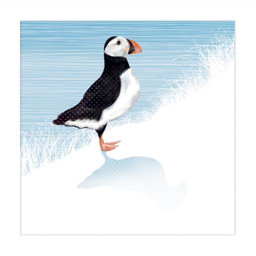 RSPB Nature Trail Card - Puffin