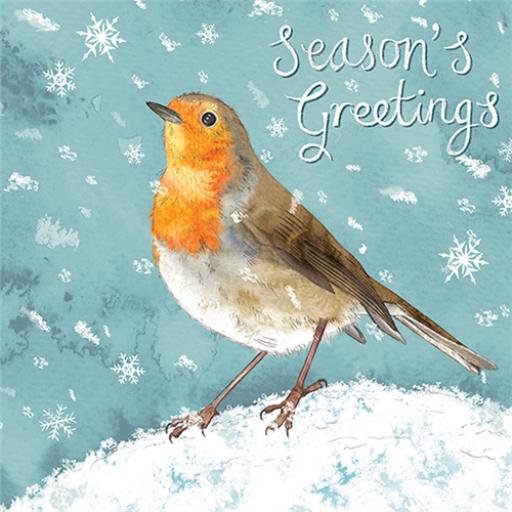 Charity Christmas Card Pack - Snowy Robin