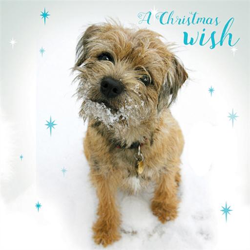 Charity Christmas Card Pack - A Christmas Wish