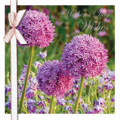 Mother's Day Card - Purple Flowers