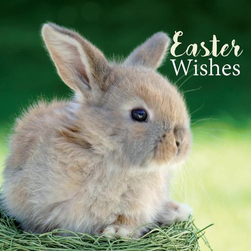 Easter Card Pack - Bunny