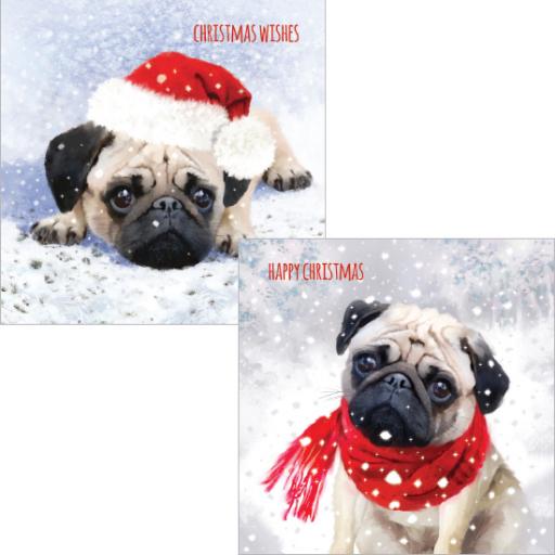 Luxury Christmas Card Pack - Cute Christmas Pug