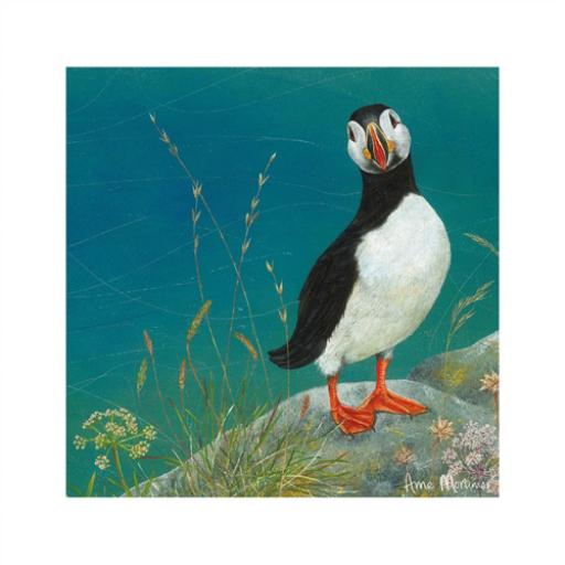 Enchanted Wildlife Card - Puffin