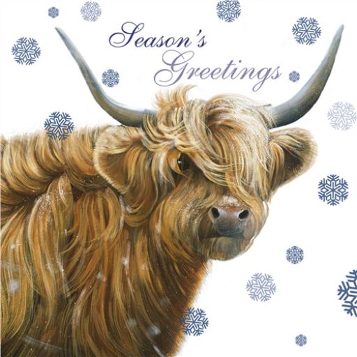 Charity Christmas Card Pack - Highland Cow