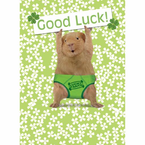 Good Luck Card - Lucky Pants